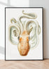 modern black wood framed velodona octopus illustration print wall art